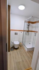 ein Badezimmer mit Toilette und Glasdusche in der Unterkunft CASA BENJI Dohma - geräumige FeWo - Familien - Parkplatz - Waschmaschine in Dohma