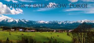 a green field with snow covered mountains in the background at Muzyczny Dworek in Rzepiska