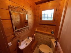 une salle de bain avec un lavabo, des toilettes et un miroir dans l'établissement Chalet chaleureux 8 pers, 5 ch, cheminée, proche pistes, Crest-Voland - FR-1-733-5, à Crest-Voland 14 autres photos