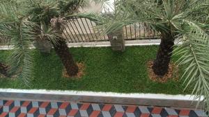 Zahrada ubytování portede munnar