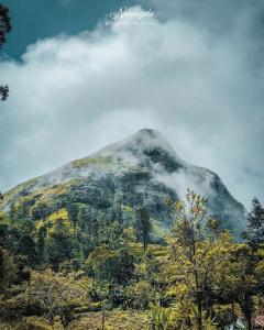 a mountain in the middle of a field with clouds at narangala skycamping 