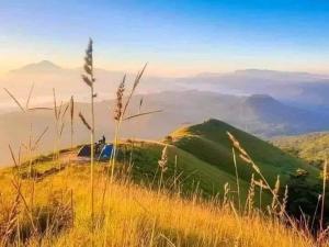 a grassy hill with a view of a mountain at narangala skycamping in Bokanoruwa