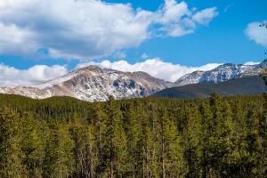 a group of mountains with trees in the foreground at Snowblaze Condos Building A unit 33 in Winter Park