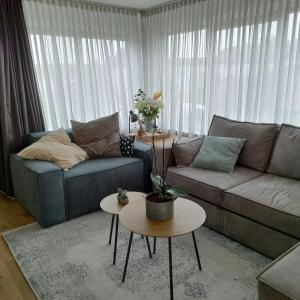 een woonkamer met een bank en een tafel bij Amazing nature house in Anloo