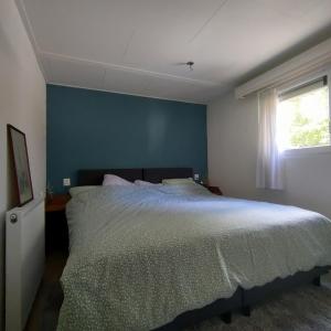 een slaapkamer met een groot bed met een blauwe muur bij Amazing nature house in Anloo