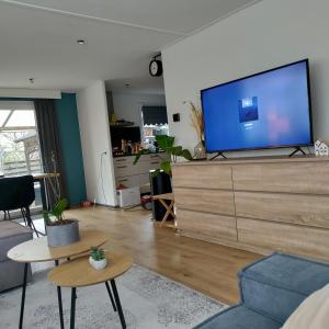 una sala de estar con una gran TV de pantalla plana en una cómoda en Amazing nature house, en Anloo