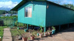 Zahrada ubytování BeingWild Resort