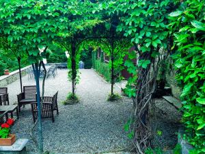 a garden with two benches and trees with leaves at Casa Amabile in Arizzano +22 photos