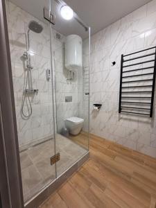 ein Badezimmer mit Glasdusche und Toilette in der Unterkunft Apartments on Sennaya Street in Mykolajiw + 6 Fotos