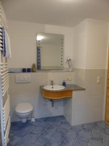 a bathroom with a toilet and a sink and a mirror at Ferienwohnung Max Fegg in Anger +7 photos
