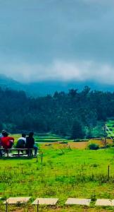 Φυσικό τοπίο κοντά σε αυτό το ξενοδοχείο