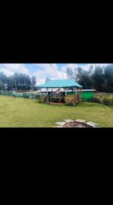 Κήπος έξω από το Kodai Horse Private Gardens