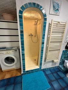 a bathroom with a shower and a washing machine at Petite maison indépendante in Cagnes-sur-Mer +26 photos