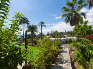 een tuin met palmbomen en een weg bij Nueva Suecia By CanariasGetaway in San Agustin