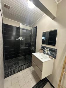 une salle de bain avec douche et lavabo dans l'établissement Studio accueillant aux Trois-Îlets, 30 m², piscine partagée, à Lazaret