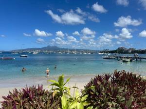 un groupe de personnes dans l'eau sur une plage dans l'établissement Studio accueillant aux Trois-Îlets, 30 m², piscine partagée, à Lazaret