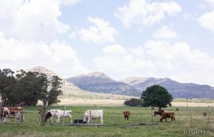 Nespecifikovaný výhled na hory nebo výhled na hory při pohledu z apartmánu