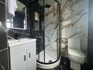 a bathroom with a shower and a toilet and a sink at The Old Court House in Kingswinford