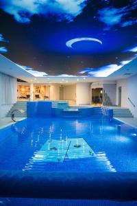 a large swimming pool with a blue ceiling with a sky at W Krainie Alicji in Nałęczów