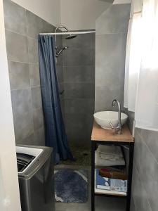 ein Badezimmer mit Waschbecken und Dusche in der Unterkunft Maisonnette au coeur du Luberon in Gondonnets