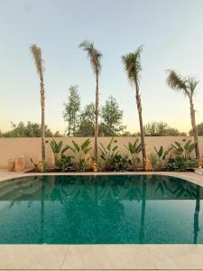 Πισίνα στο ή κοντά στο The Sultans House - Luxe Villa in Marrakech met Verwarmd Privezwembad +19 φωτογραφίες