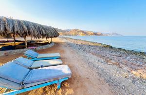 ein Strand mit Stühlen und Sonnenschirmen und das Meer in der Unterkunft Luna Camp in Nuweiba
