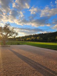 a shadow of a tree on the side of a road at Dolcevita guest house in Torreano
