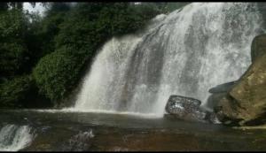 Φυσικό τοπίο κοντά σε αυτή η βίλα +4 φωτογραφίες