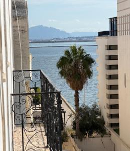 a view of the water from a balcony with a palm tree at Casaflor Tunis in Berges Du Lac