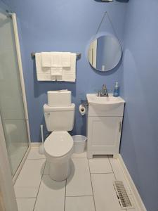 a bathroom with a toilet and a sink and a mirror at Cozy Albemarle 1 BR- EV charging in Albemarle +10 photos