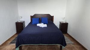 a bedroom with a blue bed with two blue pillows at Baía do Porto das Lajes in Lajes das Flores