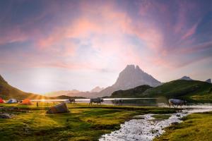 Un grupo de vacas pastando junto a un río con una montaña. en Arriu Mage 105, en Bielle