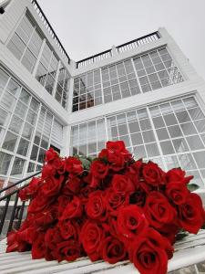 Φωτογραφία από το άλμπουμ του Villa Rosaria σε Beragala