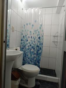 a bathroom with a toilet and a shower curtain at Marlon's INN Cusco II in San Antonio