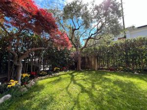 Gallery image of Casa Riello in Monte