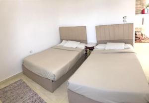 two beds in a room with white walls at Shipa Nubian Guest House in Aswan +15 photos