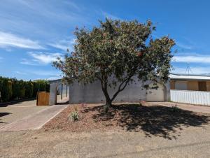 a tree in front of a house with a building at Sails in the heart town walk to beach and coffee in Kingscote