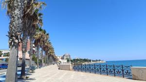 a sidewalk lined with palm trees next to the ocean at Pangea - Asia in Trani