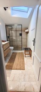 ein Bad mit einer Dusche, einem WC und einem Dachfenster in der Unterkunft Aitetxe II Laguardia in Laguardia