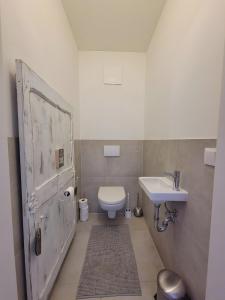 a bathroom with a white toilet and a sink at Grimminglounge in Liezen +16 photos