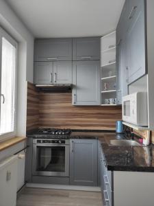a kitchen with gray cabinets and a stove top oven at Apartmán Líška v Tatranskej Štrbe in Tatranska Strba