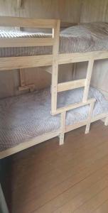 a pair of bunk beds in a room at ArdennenHut on Wheels in Durbuy