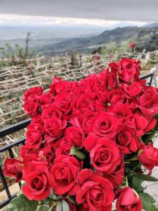 Φωτογραφία από το άλμπουμ του Villa Rosaria σε Beragala