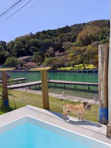 a dog standing on the side of a fence at Floripa Glamping in Florianópolis +31 photos
