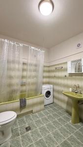 a bathroom with a toilet and a washing machine at DownTown Apartment Konitsa in Konitsa