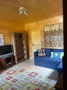 a living room with a blue couch and a tv at Les sapins in Eyne