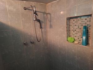 a shower in a bathroom with a tile wall at Casa Bonsai in Chetumal +18 photos