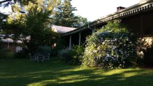 Un patio con una casa y un arbusto con flores. en Casco El Trapiche, en Godoy Cruz