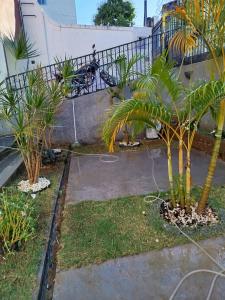 Κήπος έξω από το Hostel União bh