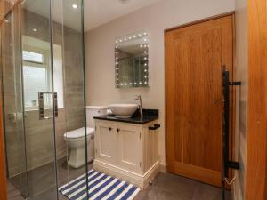 une salle de bain avec toilettes, lavabo et douche dans l'établissement Stone & Fleece Cottage, à Holmebridge 39 autres photos